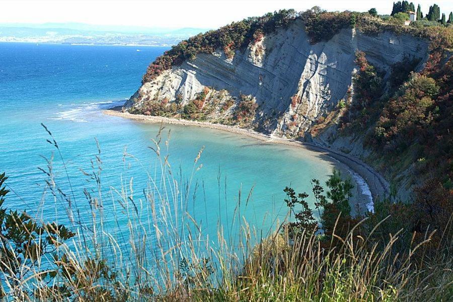 Amazing View Apartman Piran