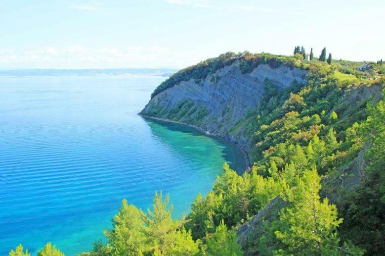 Amazing View Piran
