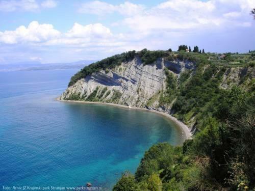 Amazing View Apartman